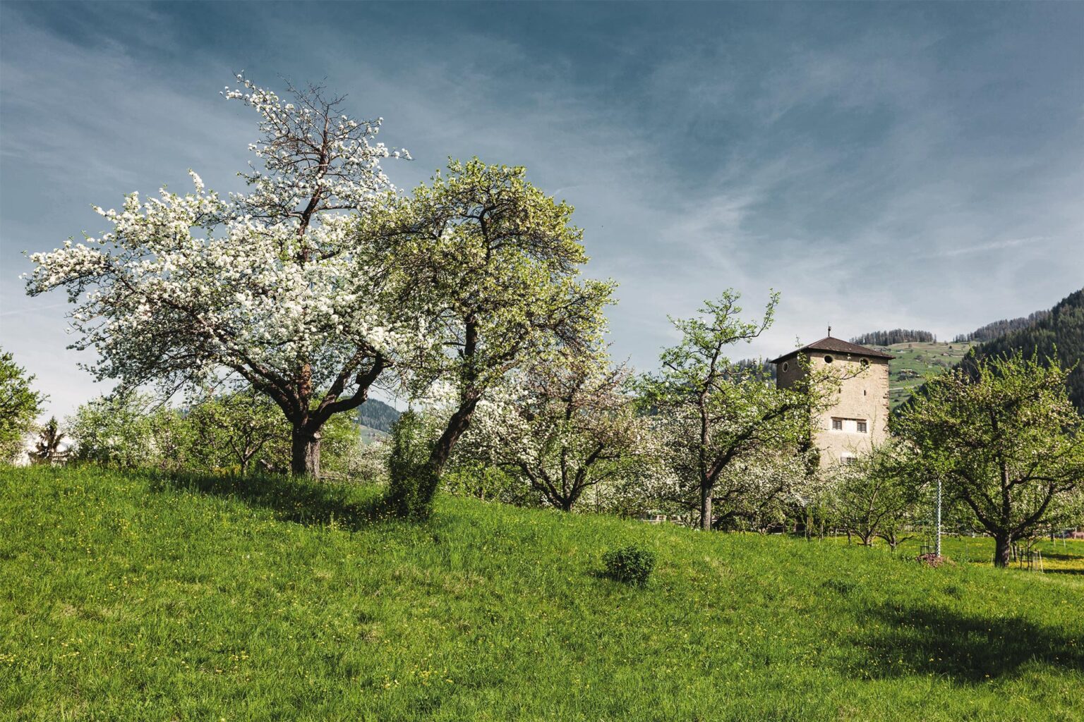 Gemeinde Domleschg – Die Sonnenterrasse Im Herzen Von Graubünden